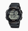 AE-1000W-1AVSDF