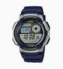 AE-1000W-2AV