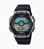 AE-1100W-1AVSDF