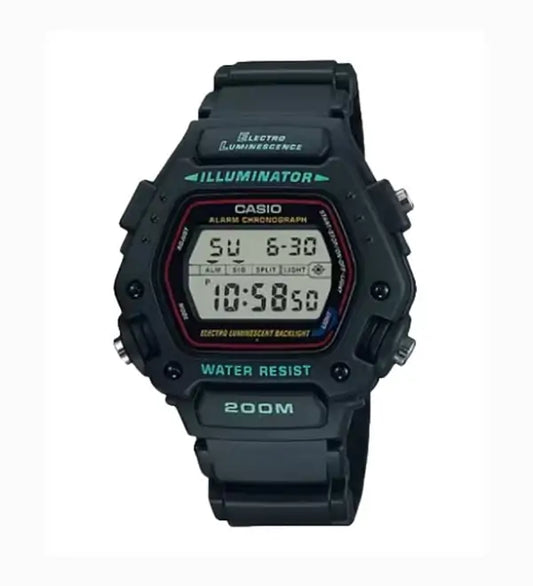 DW290-1V