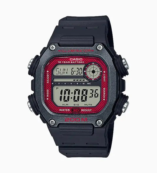 DW-291H-1BV