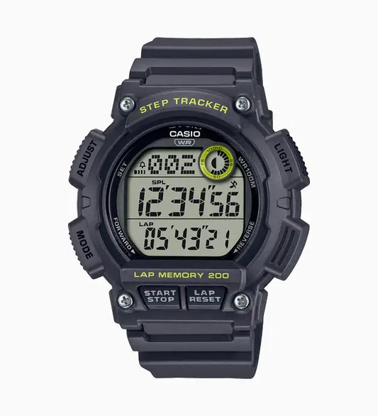 WS-2100H-8AV
